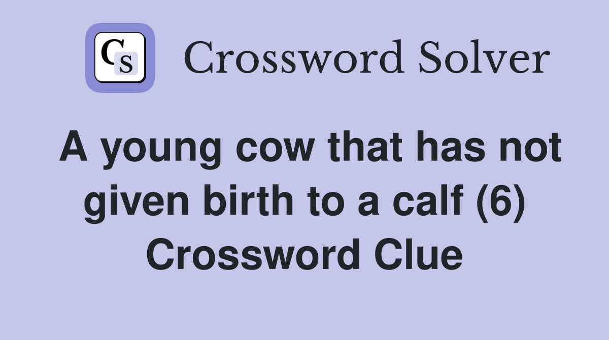 A young cow that has not given birth to a calf (6) Crossword Clue